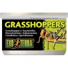 Gresshopper 34 gram thumbnail