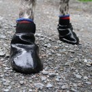 Potesokker V.I.P. Gummiert Barmark thumbnail