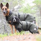 Thermo grønn-100% ull dekken hund softshell ytterstoff M Terrier thumbnail