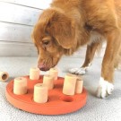 Nina Ottoson Dog Smart Kompositt thumbnail