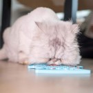 LICKIMAT CAT CASPER LJUSBLÅ thumbnail
