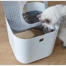 Modcat   thumbnail