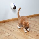 Trixie Laser-Peker Lys i bevegelse thumbnail