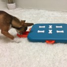 Nina Ottoson Dog Casino thumbnail
