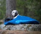 Non-Stop Dogwear, Ly Sovepose Large  thumbnail
