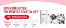 Royal Canin Babycat Milk 300g thumbnail
