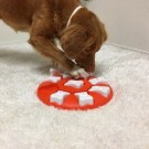 Nina Ottosson Dog Smart   thumbnail