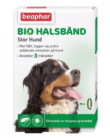 Flått og mygg