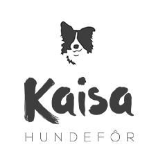 Kaisa