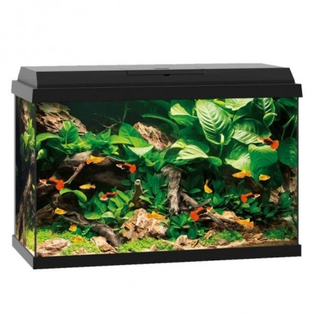 Akvarier