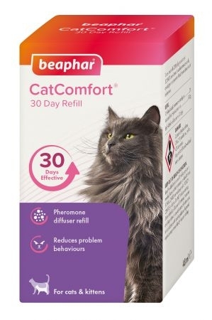 Beroligende til katt